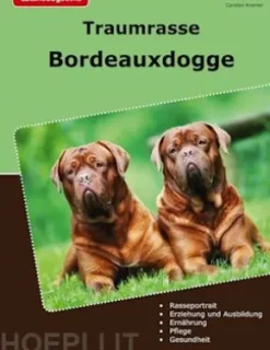Traumrasse Bordeauxdogge