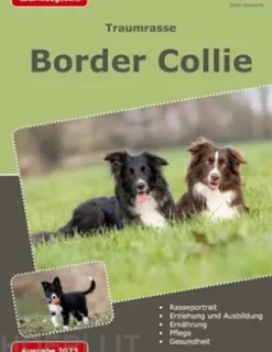 Traumrasse: Border Collie