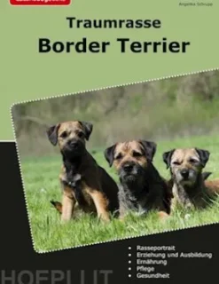 Traumrasse Border Terrier