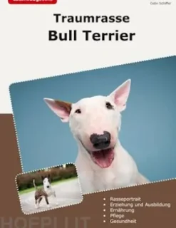 Traumrasse Bull Terrier
