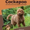 Traumrasse Cockapoo