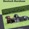 Traumrasse Deutsch Kurzhaar