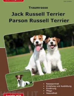 Traumrasse Jack Russell Terrier