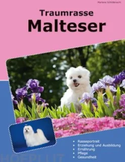 Traumrasse Malteser