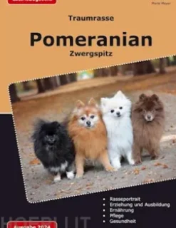Traumrasse Pomeranian