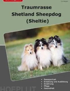 Traumrasse Shetland Sheepdog