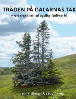 Träden På Dalarnas Tak
