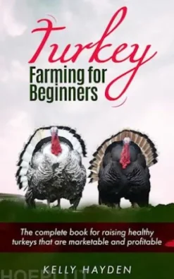 Turkey Farming for Beginners