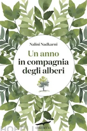 Un anno in compagnia degli alberi