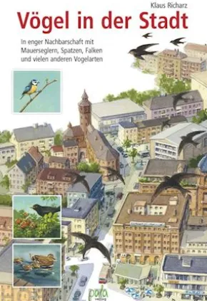 Vögel in der Stadt