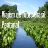 Viajem de fotos Brasil: Pantanal
