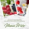 Vitamin Water: Experience Pure Taste with Vital Water Made from Fruits and Herbs (Fruit Infused Water: Delicious Flavored Water Recipes for Vitalizing Detox Drinks to Make Yourself)
