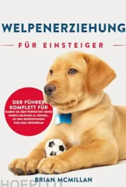 Welpenerziehung Für Einsteiger