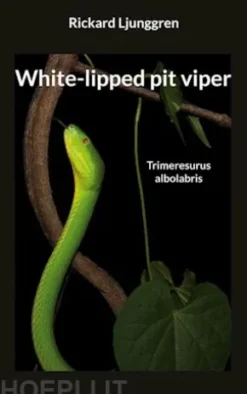 White-lipped pit viper