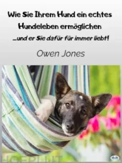 Wie Sie Ihrem Hund Ein Echtes Hundeleben Ermöglichen