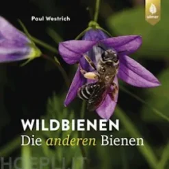 Wildbienen, die anderen Bienen