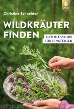 Wildkräuter finden
