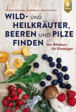 Wild- und Heilkräuter, Beeren und Pilze finden