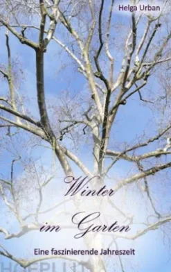 Winter im Garten
