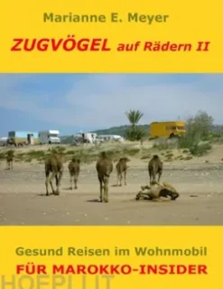 Zugvögel auf Rädern II