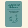 Zurück zur Balance