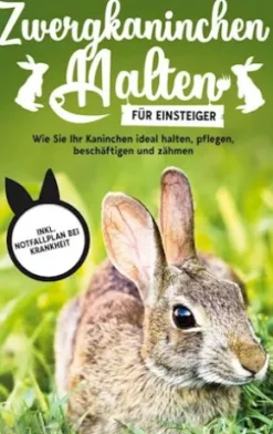 Zwergkaninchen halten für Einsteiger: Wie Sie Ihr Kaninchen ideal halten, pflegen, beschäftigen und zähmen - inkl. Notfallplan bei Krankheit